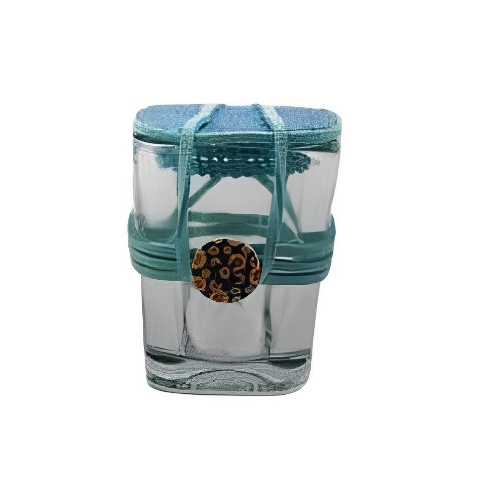 BARATTOLINO VETRO DECORATO CELESTE 5XH6