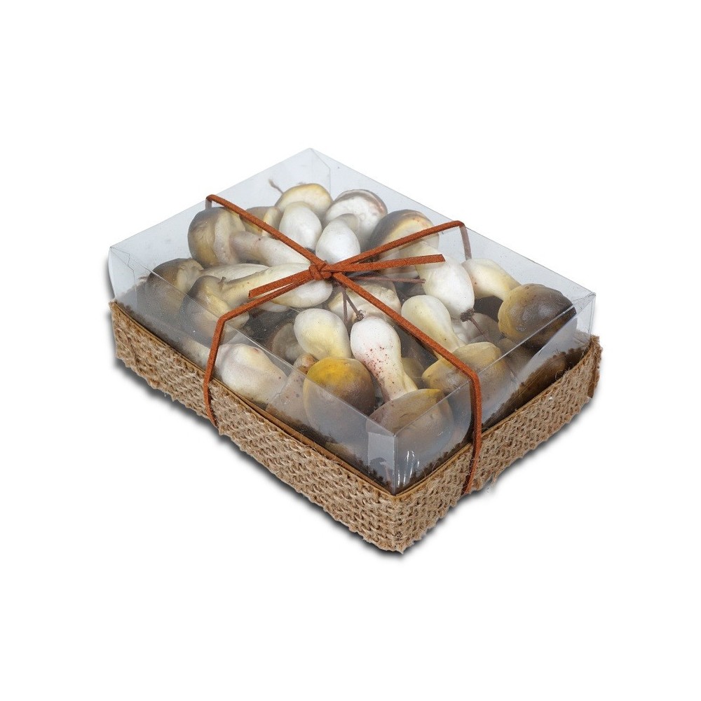 BOX 24 FUNGHI ASSORTITI GREEN BROWN