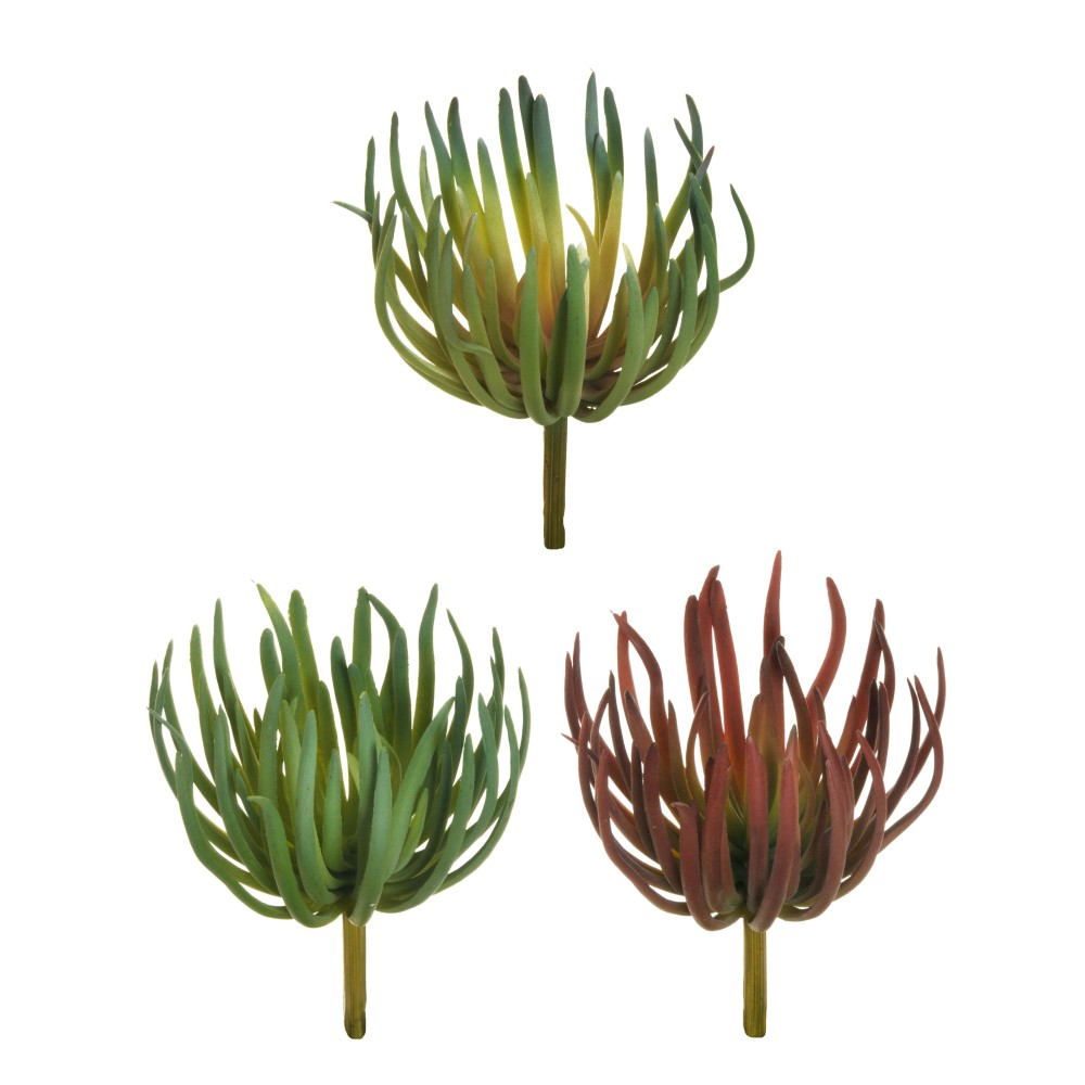 ANEMONE RUBBER SEA LIGHT GREEN PINK