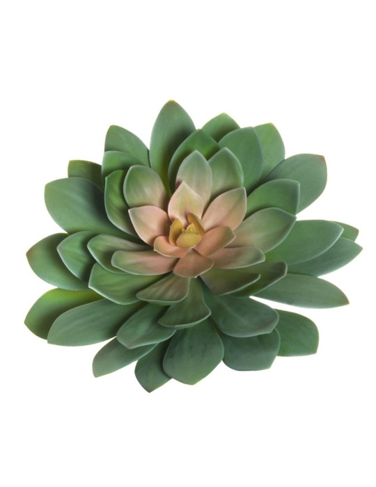 ECHEVERIA GIANT PLASTIC 3COLORI 33CM