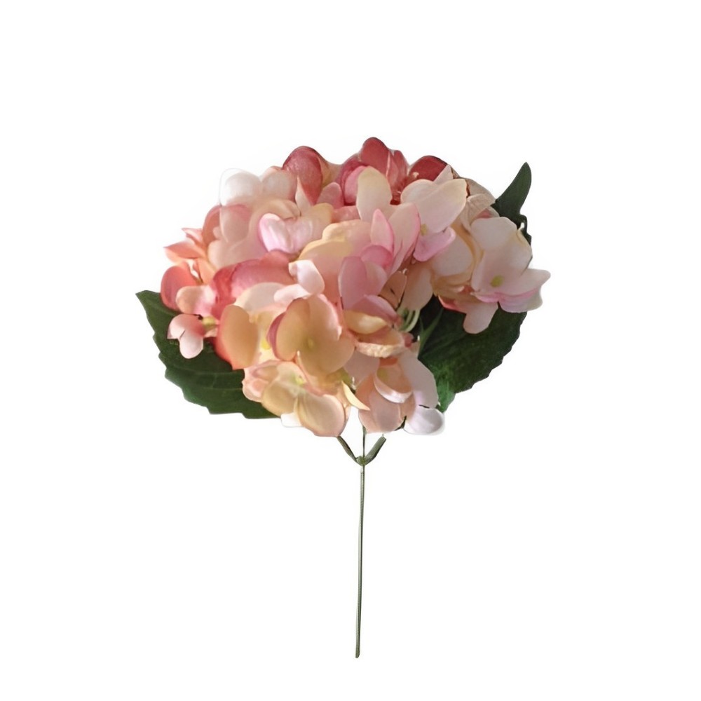 BUSH ORTENSIE DARK PINK CON FOGLIE