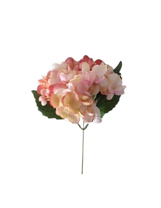 BUSH ORTENSIE DARK PINK CON FOGLIE