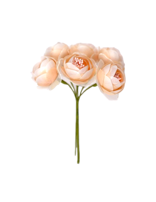 MINI ROSA TESSUTO LIGHT PEACH D4