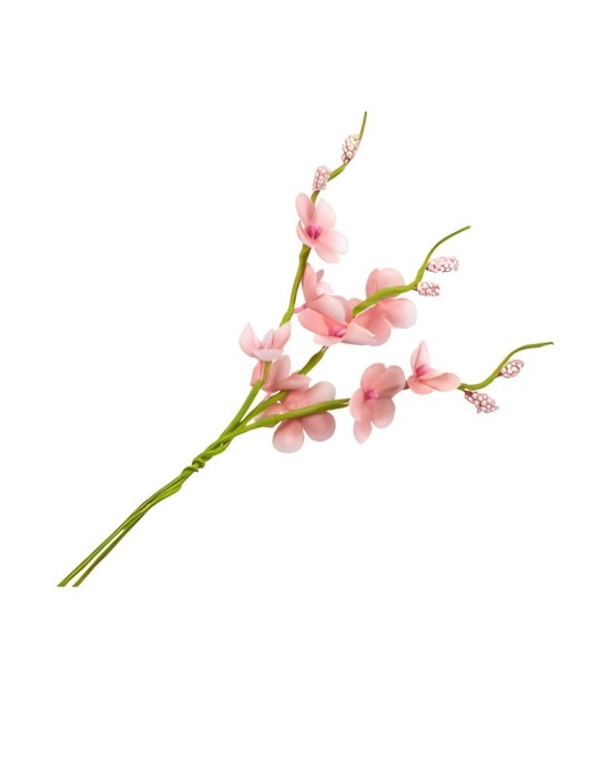 RAMETTO MUGHETTO ROSA ANTICO