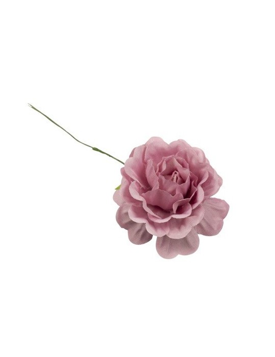 ROSELLINA ROSA ANTICO