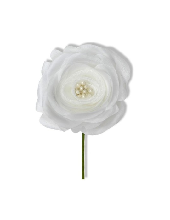 ROSA CON SEMI WHITE D6