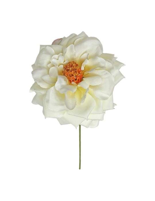 ROSA SPRAY BEIGE CON GAMBO D11