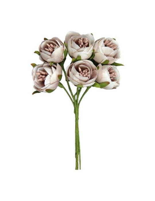 MINI ROSA CON SEMI FANGO-CIPRIA