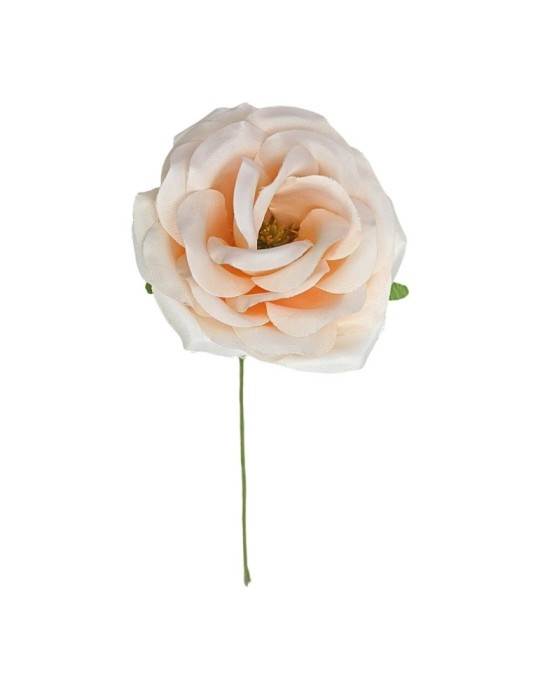 ROSA SPRAY PEACH CON GAMBO D8.5