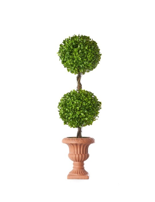 TOPIARY BOXWOOD 65 CM