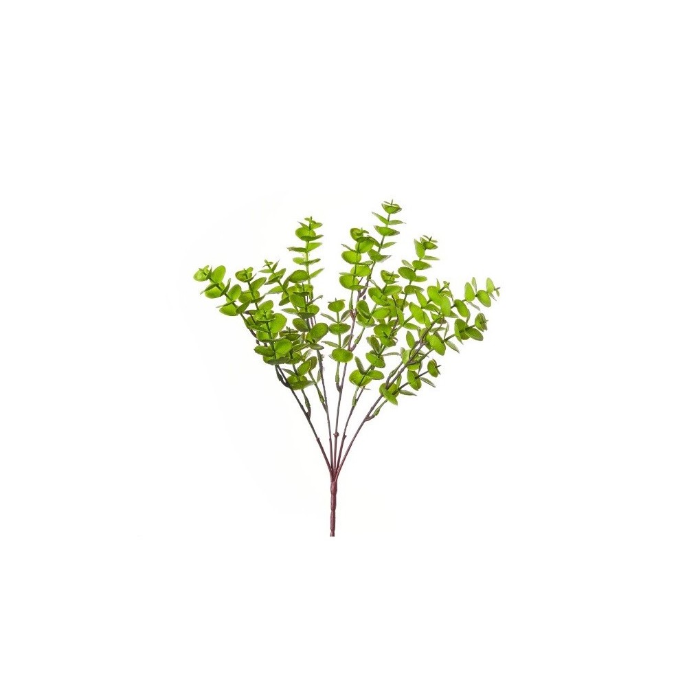 BUSH EUCALYPTO CM.35