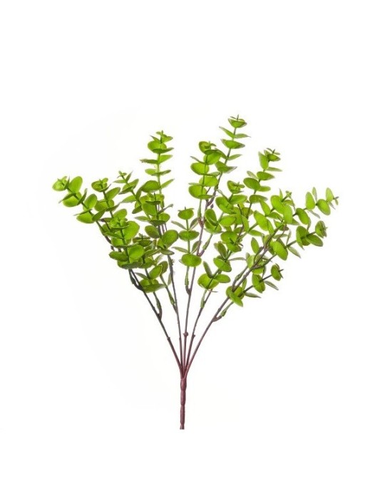 BUSH EUCALYPTO CM.35