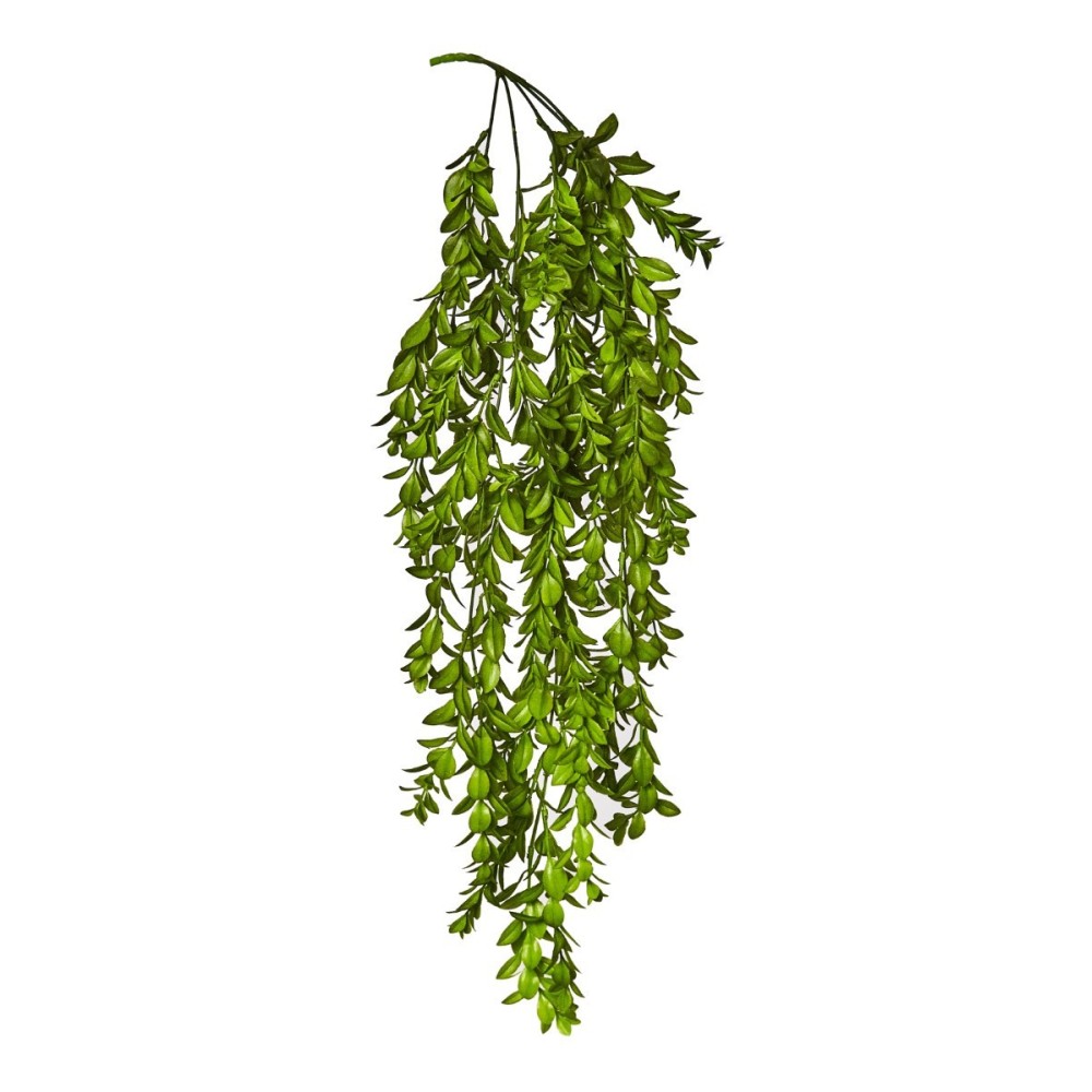 CASCANTE PIANTA GRASSA CM 80