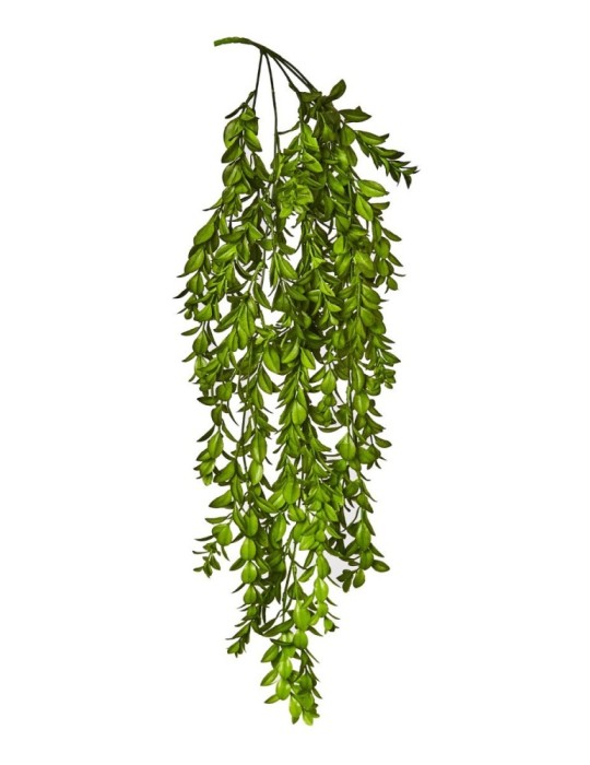 CASCANTE PIANTA GRASSA CM 80