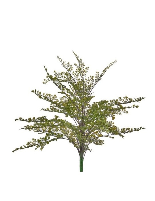 BUSH CAPELVENERE X16