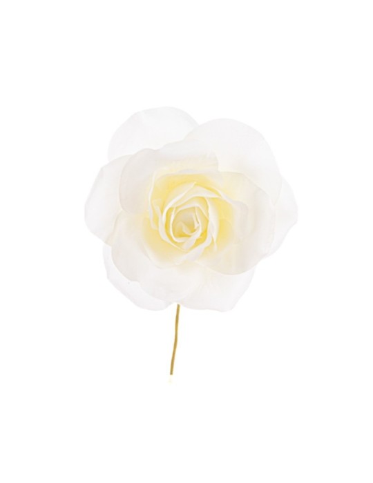 FIORE ROSA PANNA D10CM