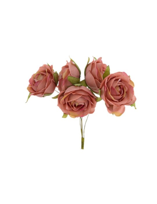 BOCCIOLO ROSA ROSA SELVATICA