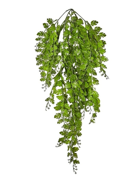 CASCANTE PHILO CM 80