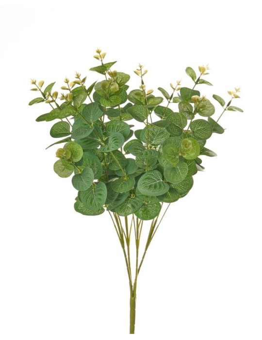 BUSH EUCALIPTO WPG X16