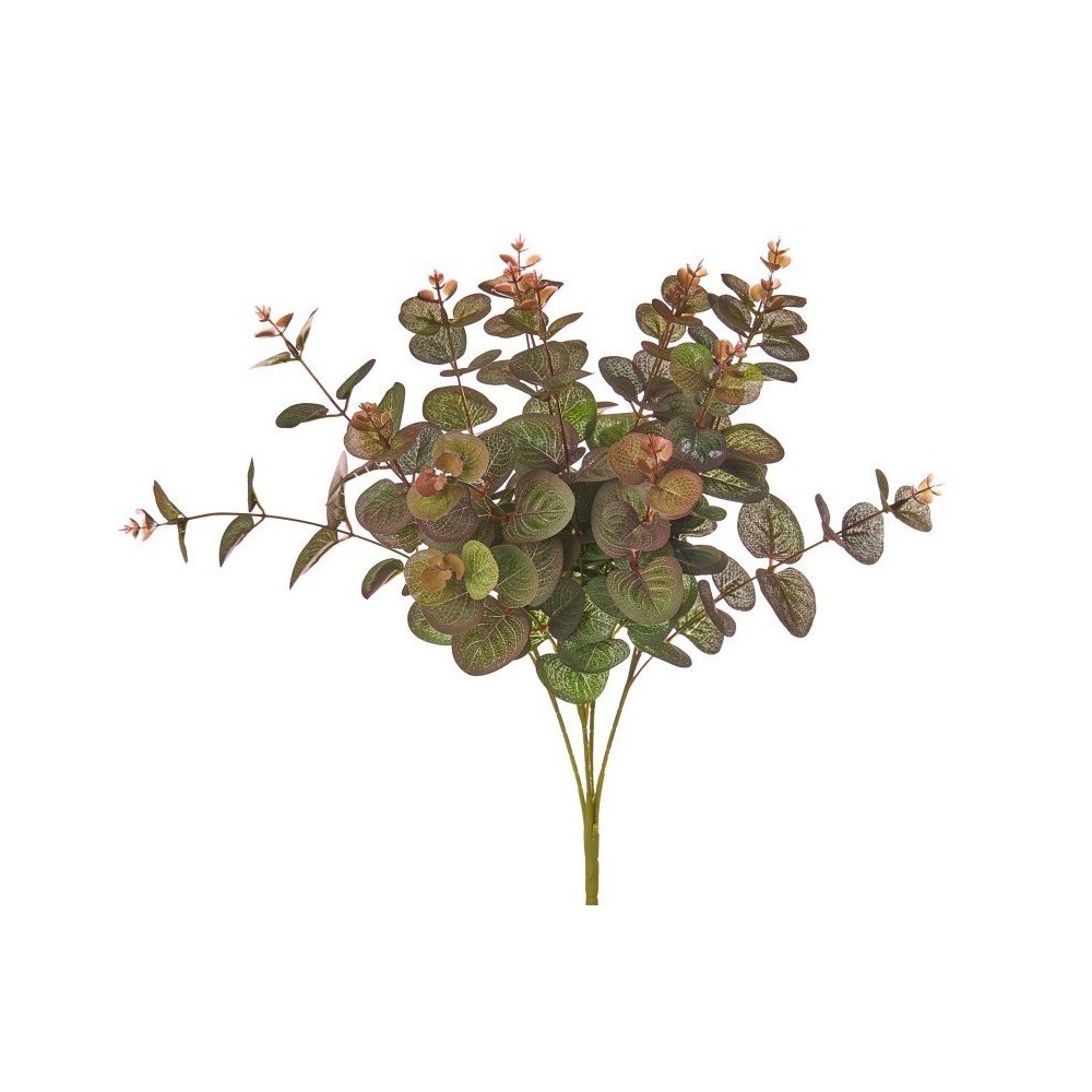 BUSH EUCALIPTO CRI X16