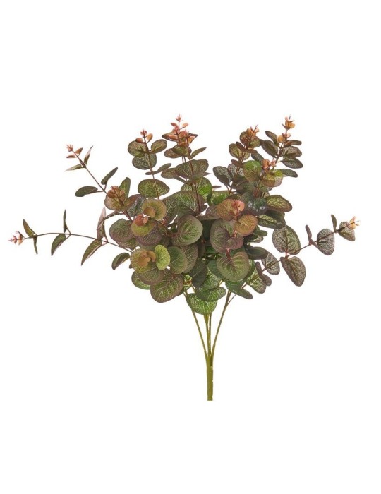 BUSH EUCALIPTO CRI X16