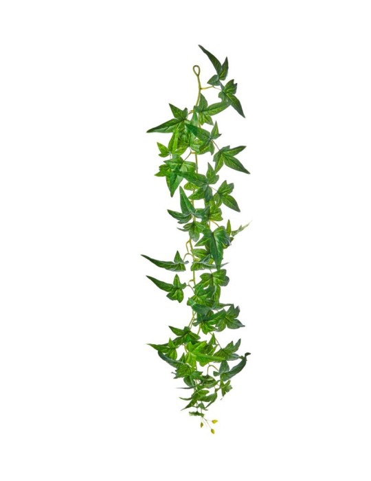 FESTONE EDERA CM 120