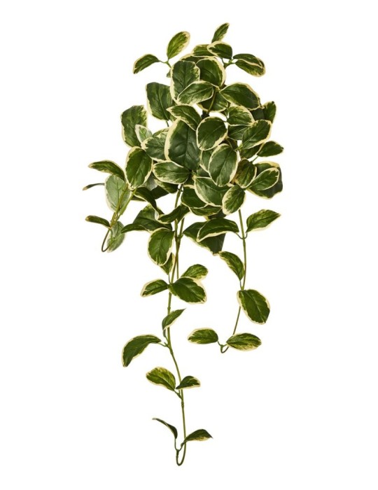 CASCANTE PRISOMIA X 70 CM 65