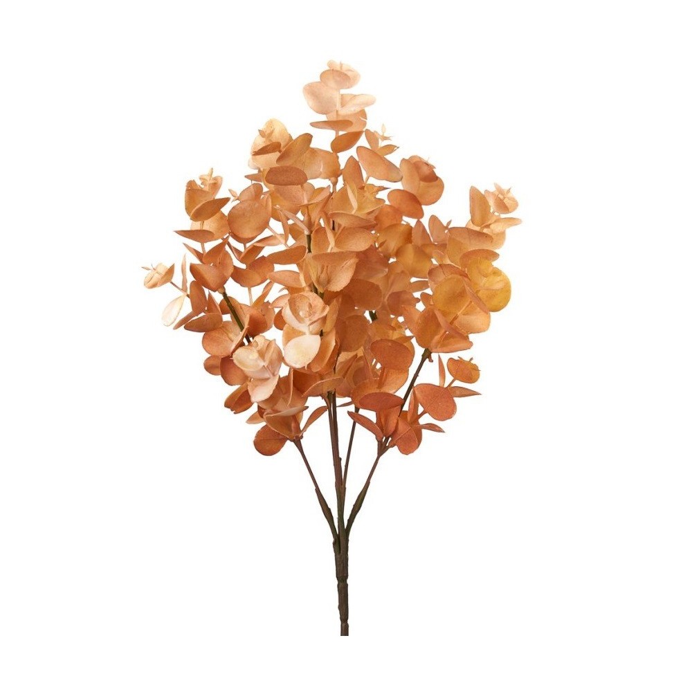 BUSH EUCALIPTO PESCA