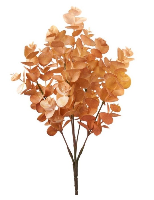 BUSH EUCALIPTO PESCA