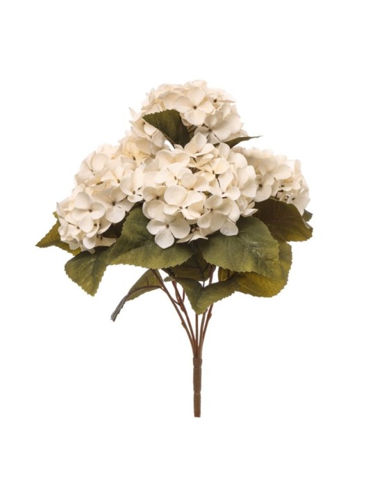BUSH ORTENSIA X5 H40CM CREMA