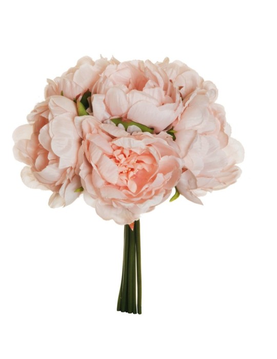 BUSH PEONY X6 PINK CREAM