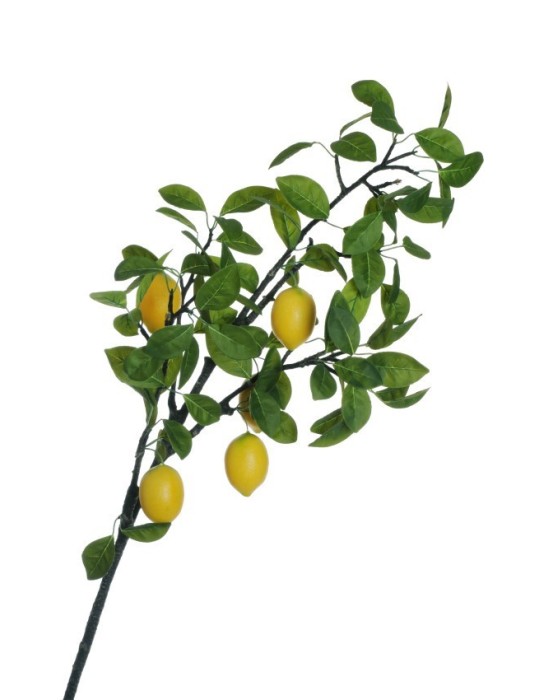 LEMON BRANCH YELLOW