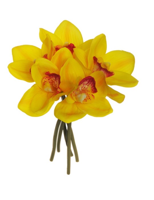 CYMBIDIUM REAL TOUCH YELLOW