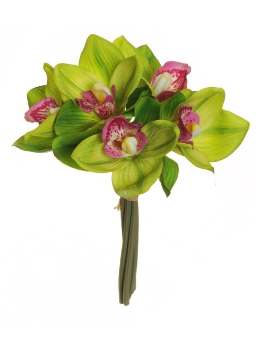 CYMBIDIUM REAL TOUCH GREEN