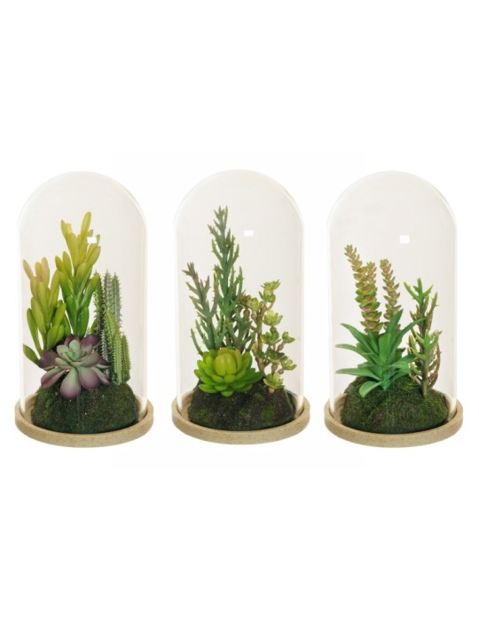 BIG RUBBER SUCCULENT UNDER GLASS