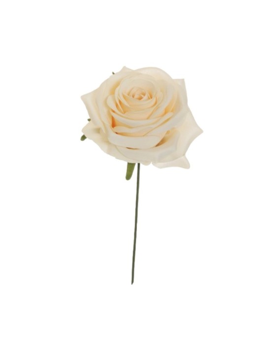 PICK TESTA ROSA ECUADOR CREAM D9