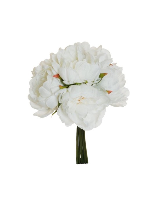 FASCIO DI PEONIA X6 29CM