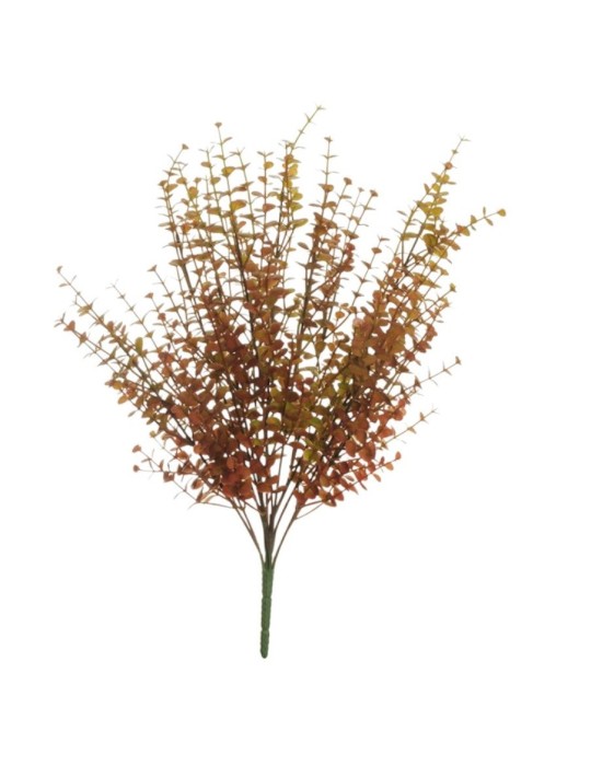 BUSH MINI EUCALIPTO BROWN RED X14