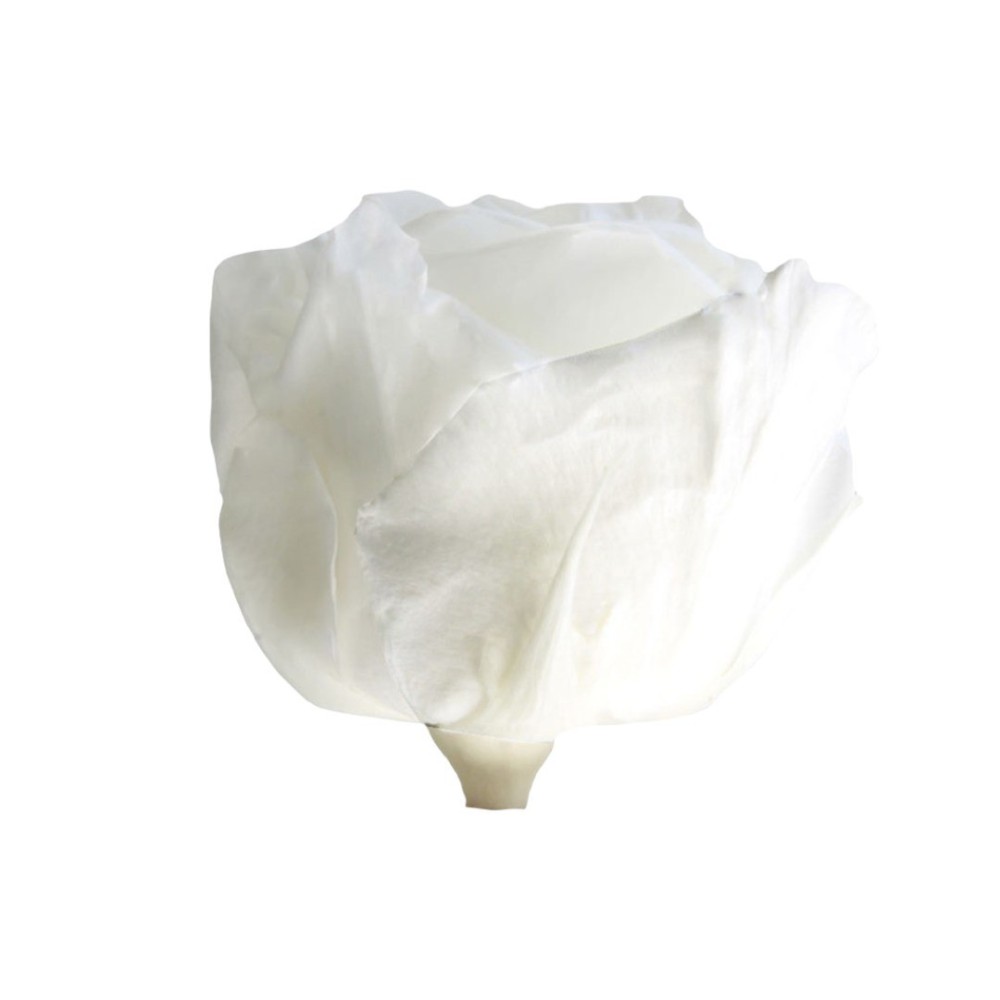 ROSA STANDARD BOX 6 WHITE