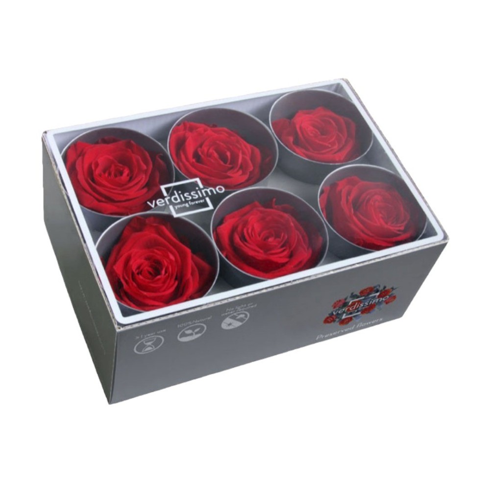 ROSA STANDARD BOX 6 ROSSA
