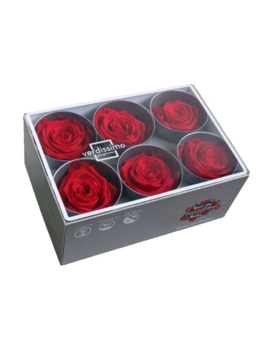 ROSA STANDARD BOX 6 ROSSA