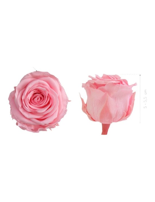 ROSA STANDARD BOX 6 ROSA PASTELLO