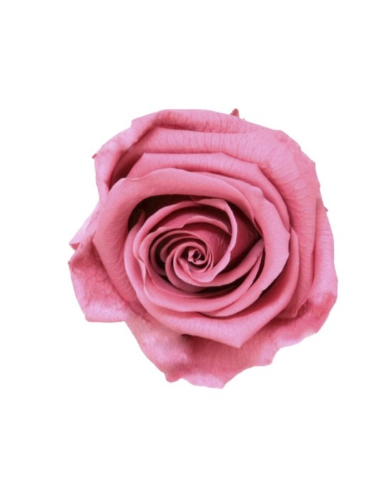 ROSA STANDARD BOX 6 CHERRY VINTAGE