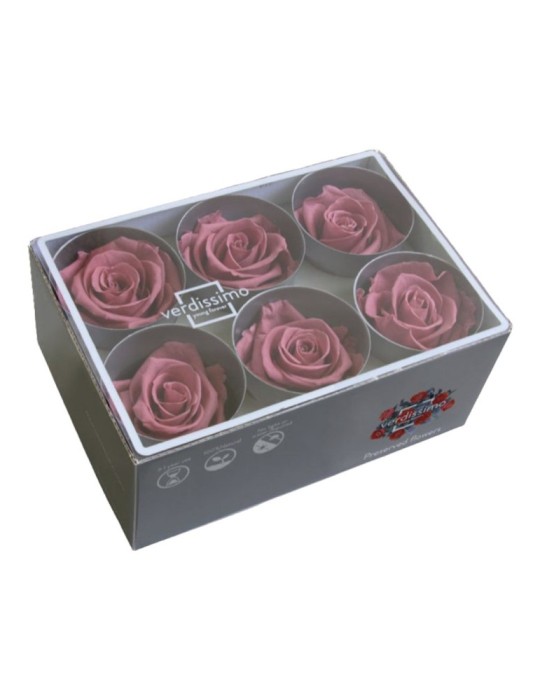 ROSA STANDARD BOX 6 CHERRY VINTAGE