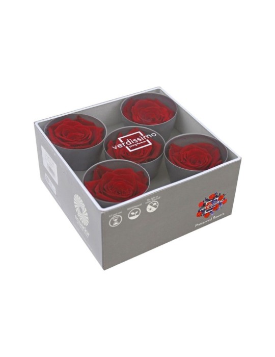 ROSA QUEEN BOX 5 RED