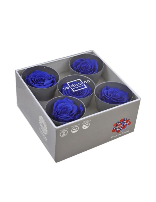 ROSA QUEEN DARK BLUE 5 BOX
