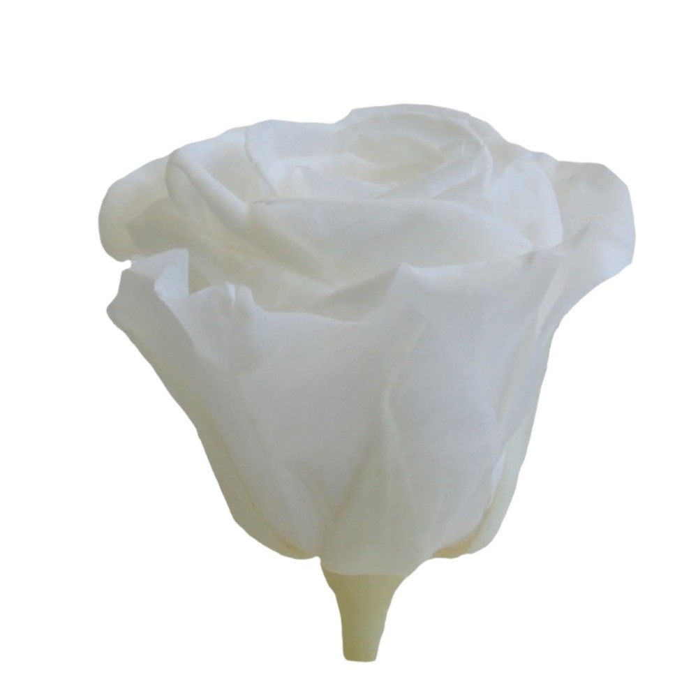 SCATOLA 8 ROSE MEDIE BIANCA