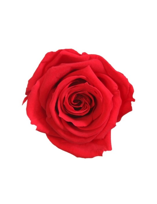 SCATOLA 8 ROSE MEDIE ROSSO