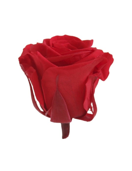 SCATOLA 8 ROSE MEDIE ROSSO