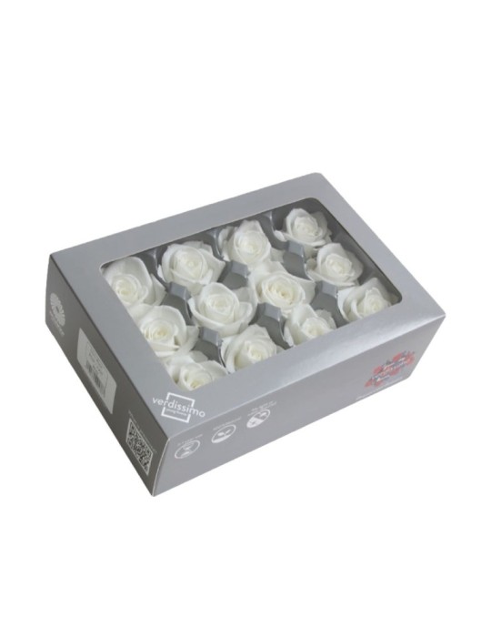 ROSA MINI WHITE 12 BOX